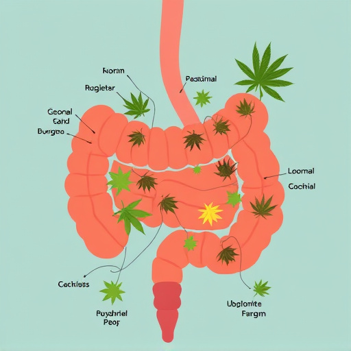 crohn's disease cannabis strains