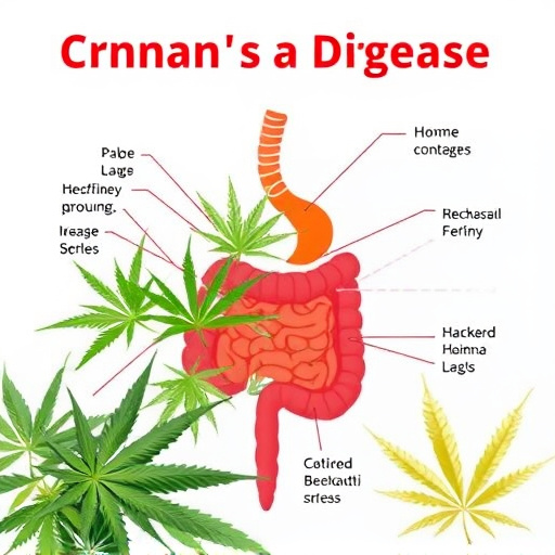 crohn's disease cannabis strains