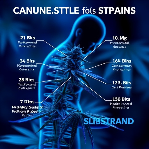 strains of cannabis for pain