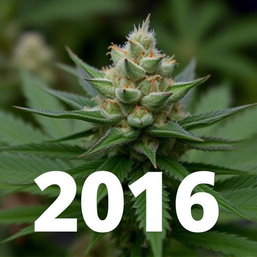 top ten cannabis strains 2016