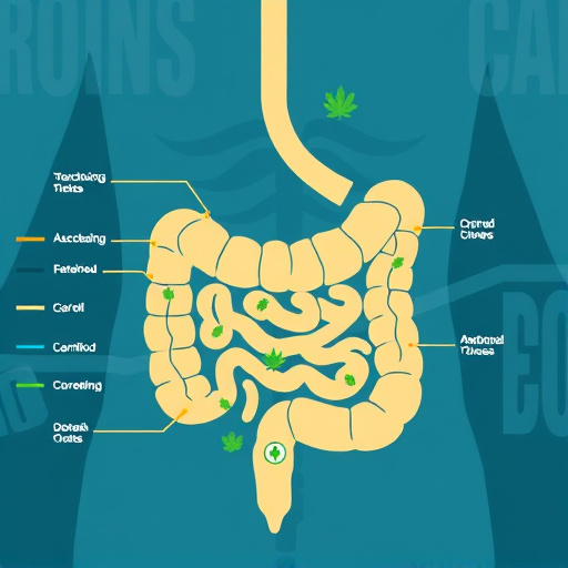 crohns-disease-cannabis-strains-640x480-25207.jpeg