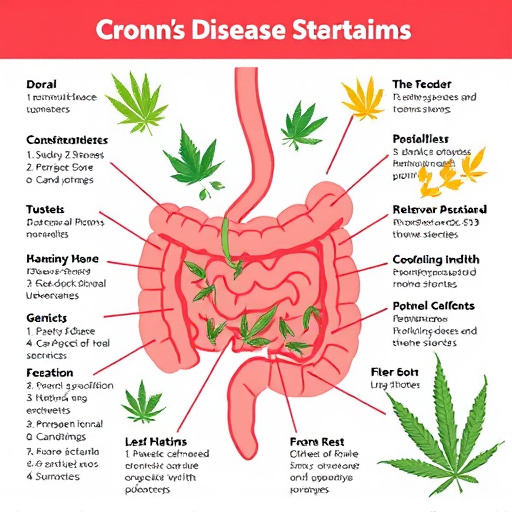crohn's disease cannabis strains