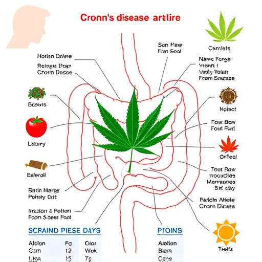 crohn's disease cannabis strains