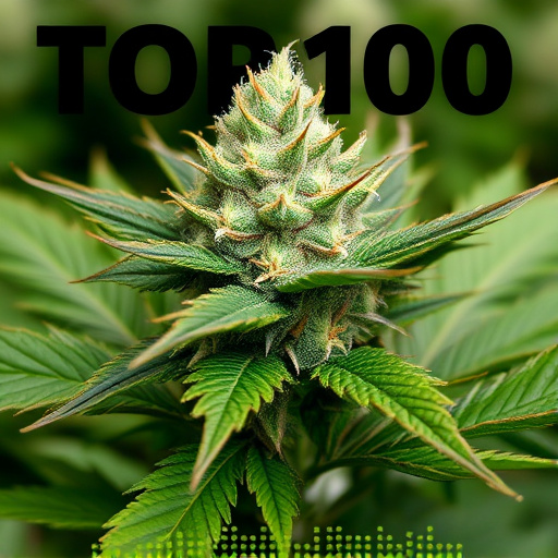 top-100-cannabis-strains-640x480-13658468.jpeg