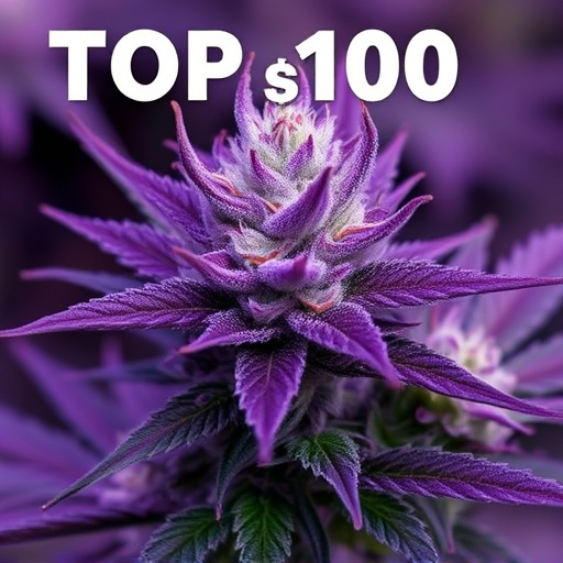 top 100 cannabis strains