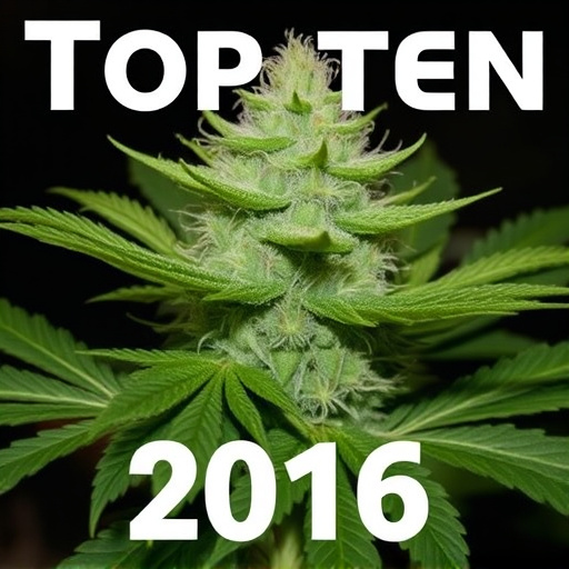 Top Ten Cannabis Strains for Anxiety and Depression in 2016