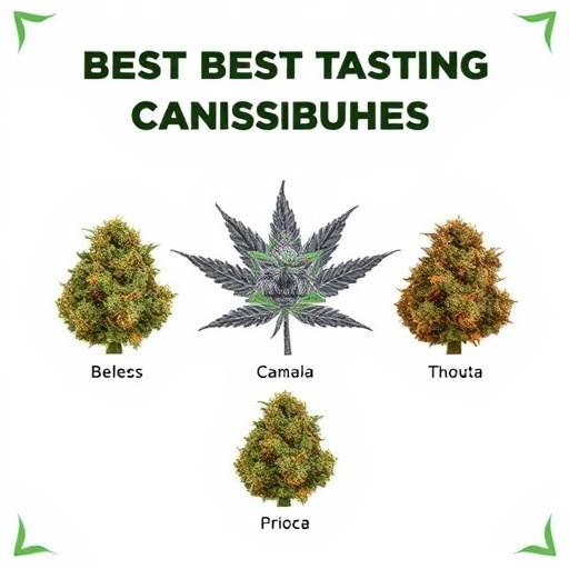 best-tasting-cannabis-strains-640x480-73667415.jpeg