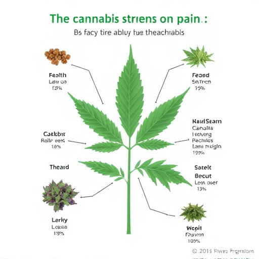cannabis strains for pain