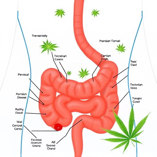 crohn's disease cannabis strains