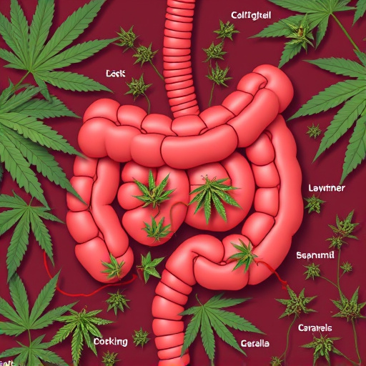 crohn's disease cannabis strains