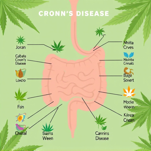 crohn's disease cannabis strains