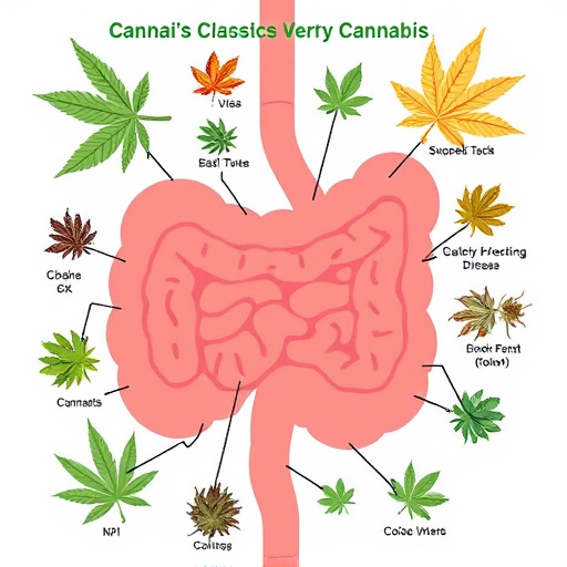 crohn's disease cannabis strains