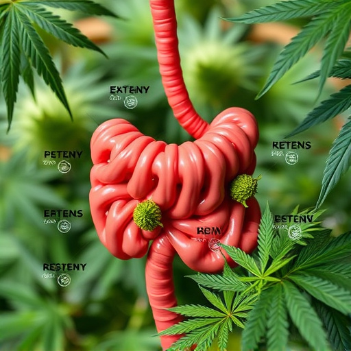 Maximize Crohn’s Relief: Navigating Cannabis Strains for Optimal Treatment