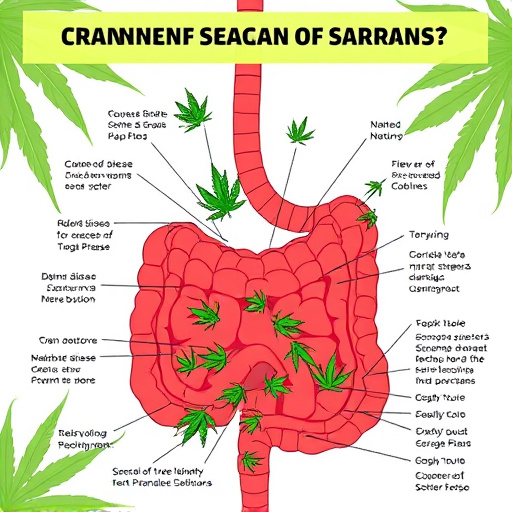 crohn's disease cannabis strains