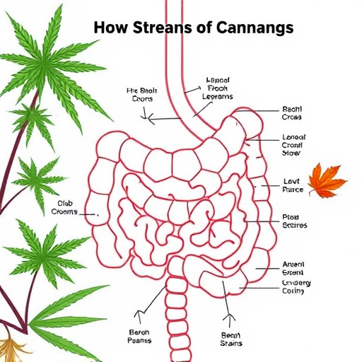 crohn's disease cannabis strains