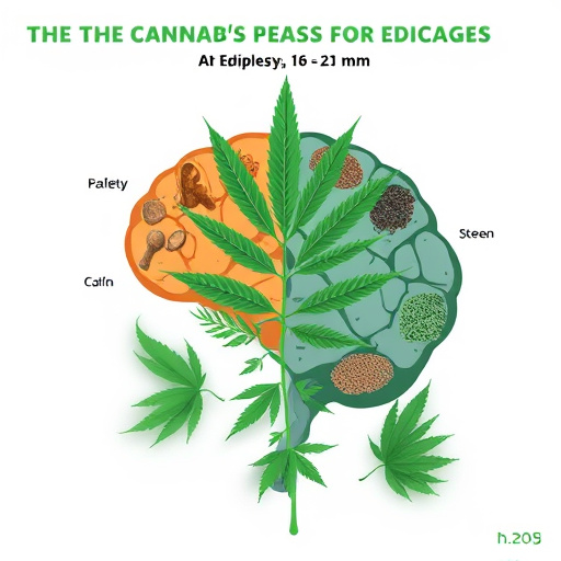 cannabis-strains-for-epilepsy-640x480-54260500.jpeg