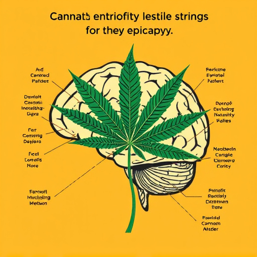 cannabis strains for epilepsy