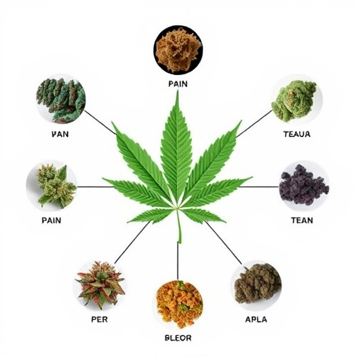 cannabis-strains-for-pain-640x480-82432130.jpeg