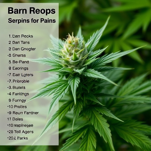 cannabis strains for pain