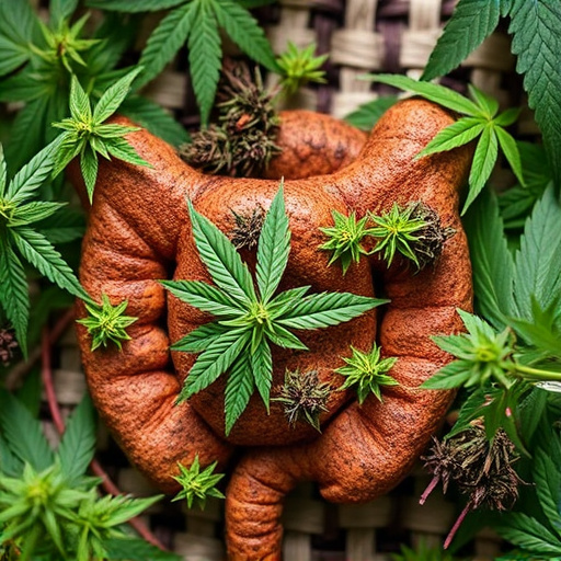 crohns-disease-cannabis-strains-640x480-23924572.jpeg