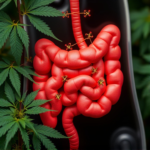 Cannabis Flowers for Mental Health: Exploring Strains for Crohn’s Relief