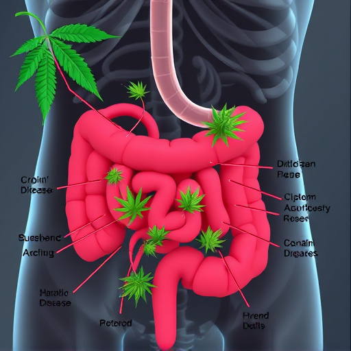 crohn's disease cannabis strains
