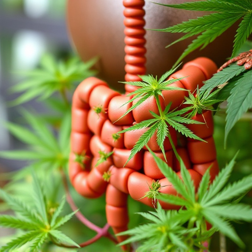crohn's disease cannabis strains