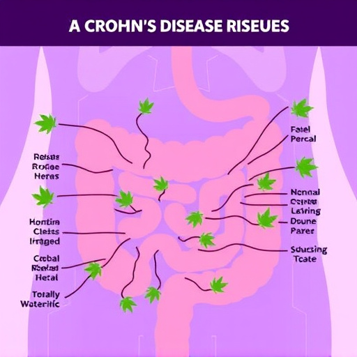 crohn's disease cannabis strains