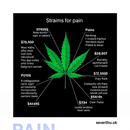 strains of cannabis for pain