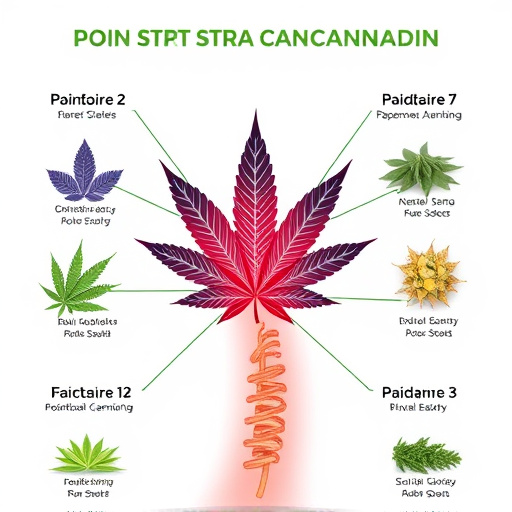 strains-of-cannabis-for-pain-640x480-65977040.jpeg