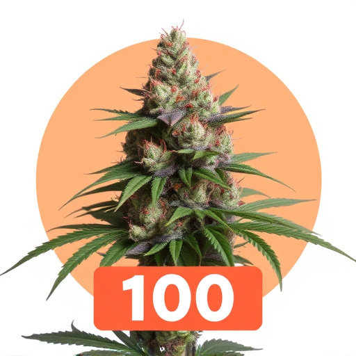top 100 cannabis strains