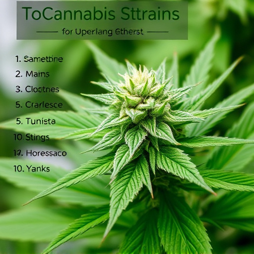 top cannabis strains